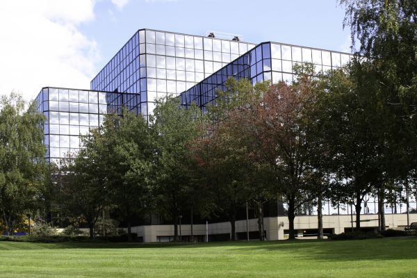 Commercial Tree Trimming in Sheboygan